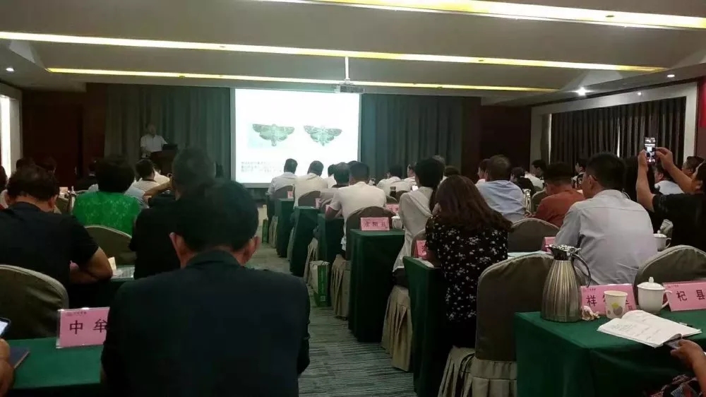 ���w�Ƽ��������Ӻ���ʡֲ��ֲ�z�������h